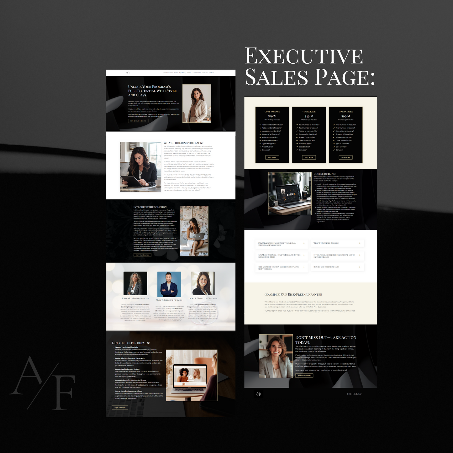 Executive Bundle - Website, Sales Page, Lead Magnet, Course & Thank You Page Templates