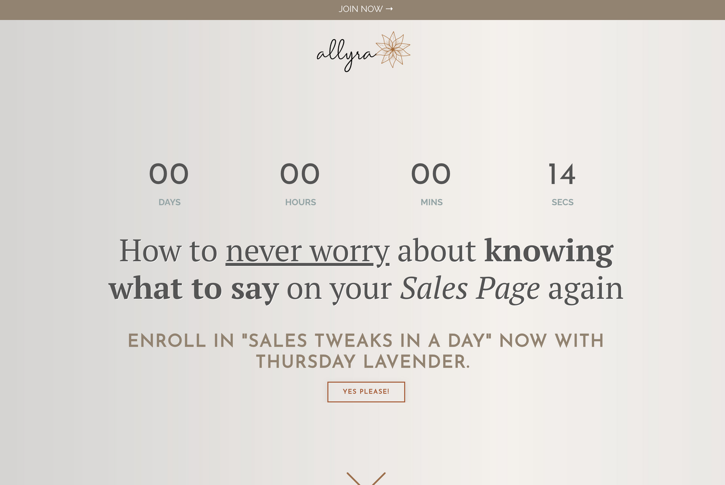 Allyra Sales Page Kit