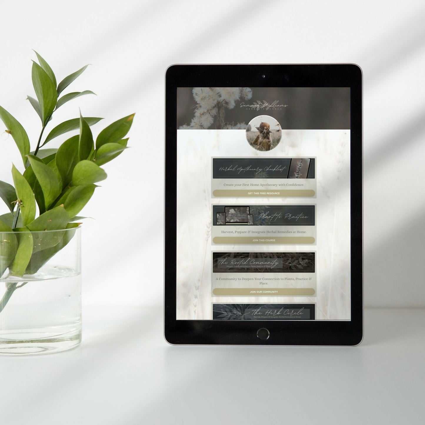 kajabi-link-in-bio-template-coach-course-creator05