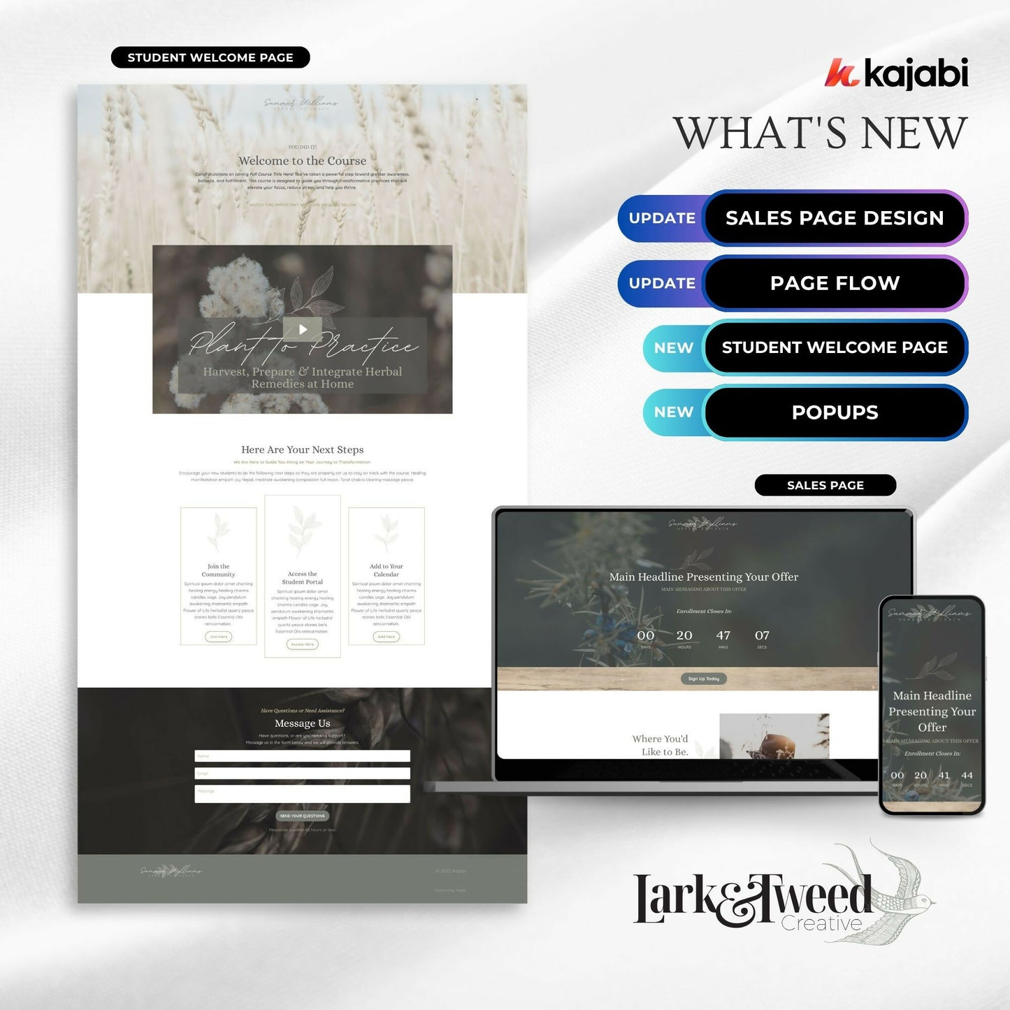 kajabi-sales-page-template-coach-course-creator02