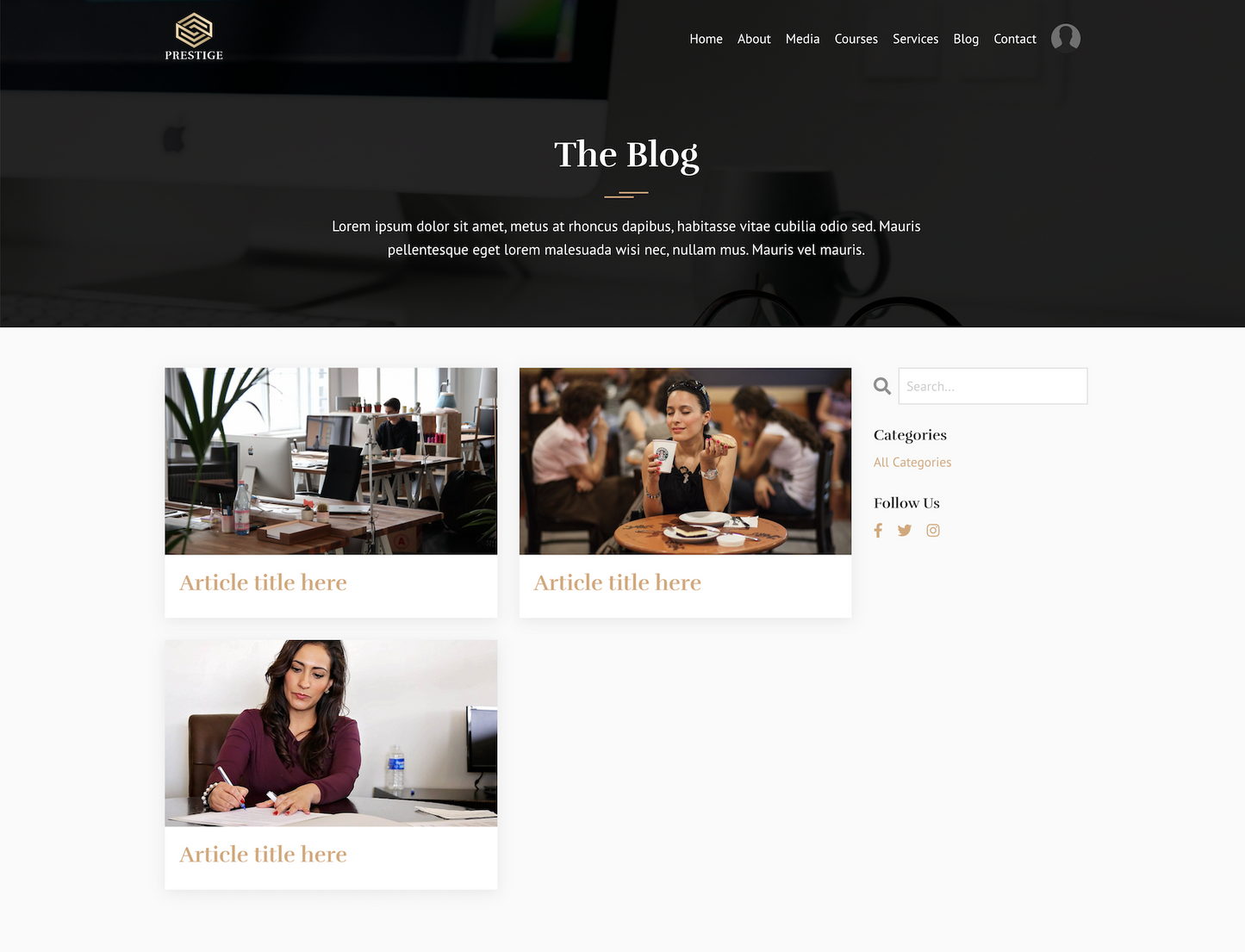Prestige Website Theme (20 Pages)