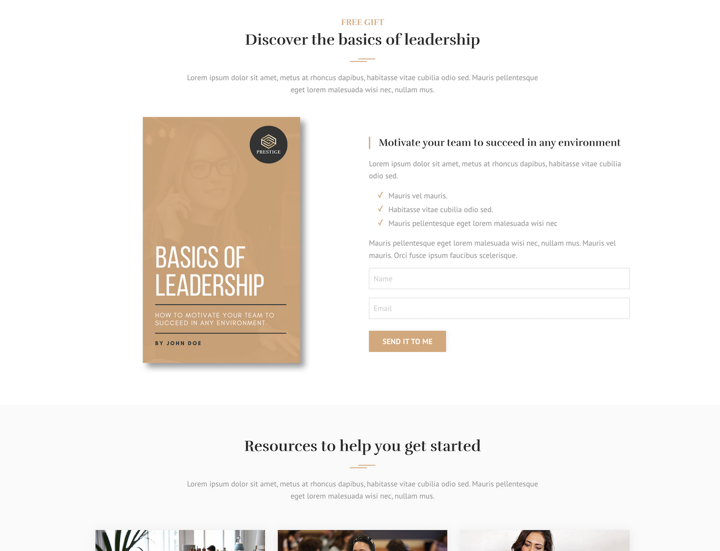 Prestige Website Theme (20 Pages)