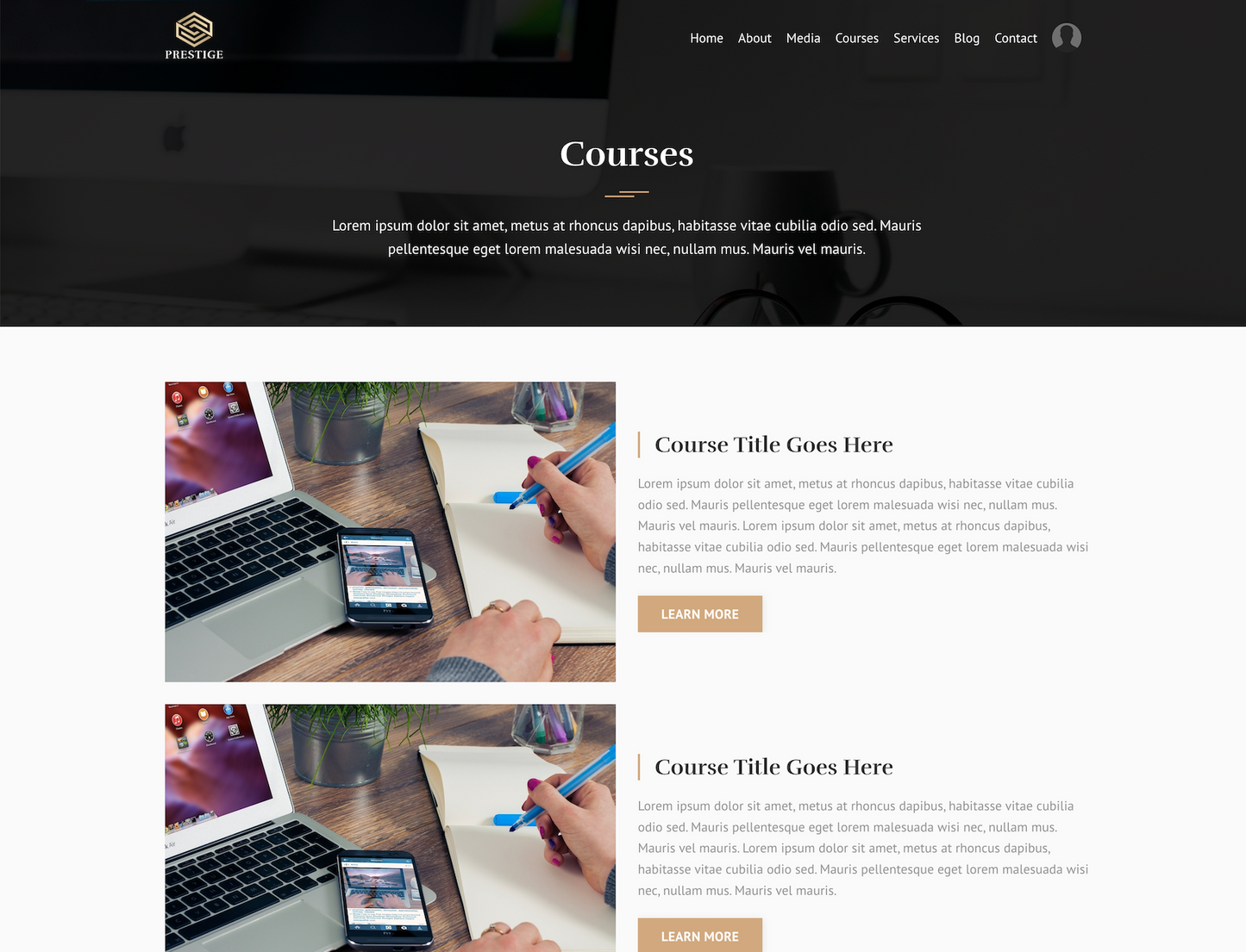 Prestige Website Theme (20 Pages)