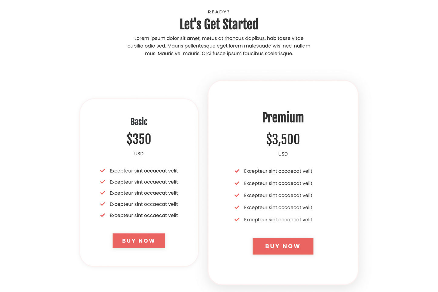 Payton Sales Page