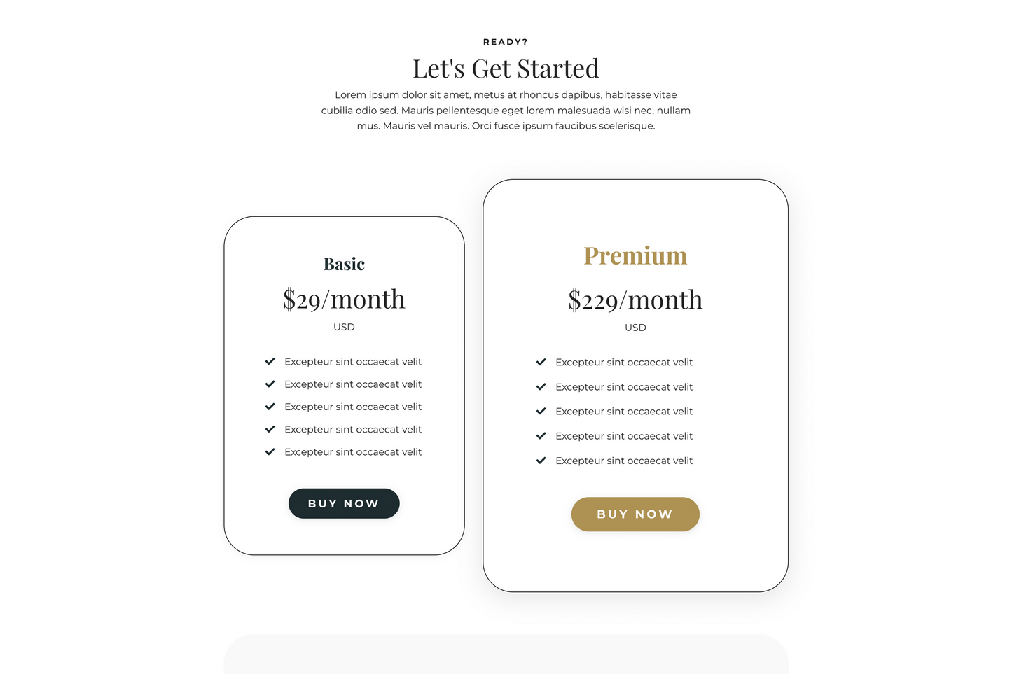 Sawyer Sales Page