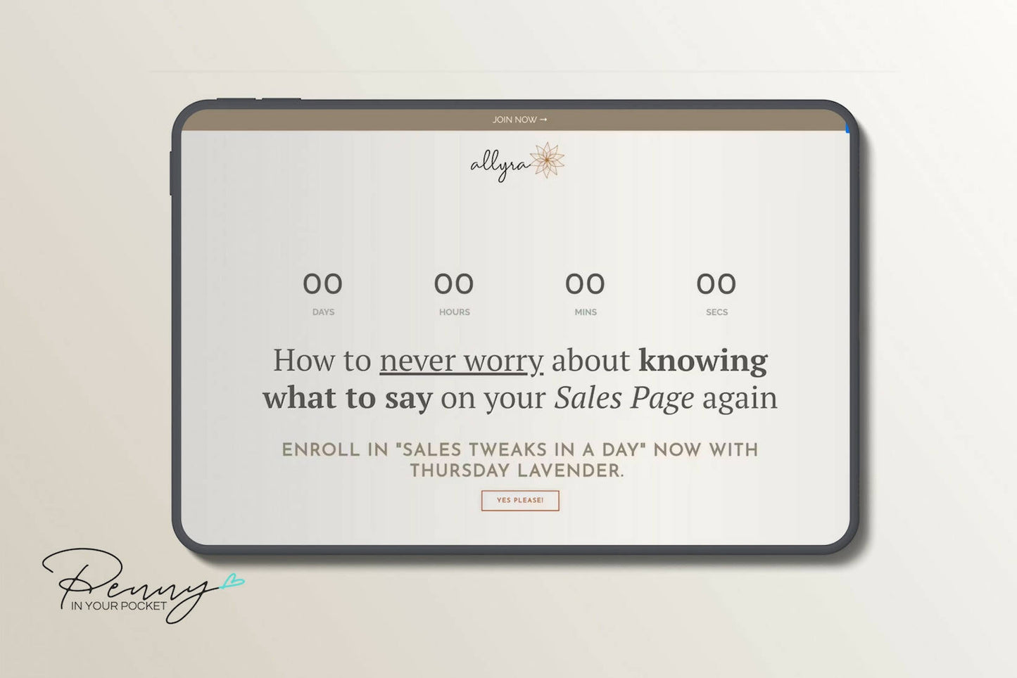 AllyraSP-Mockup1
