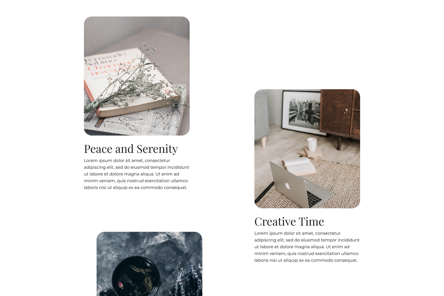 Sawyer Sales Page
