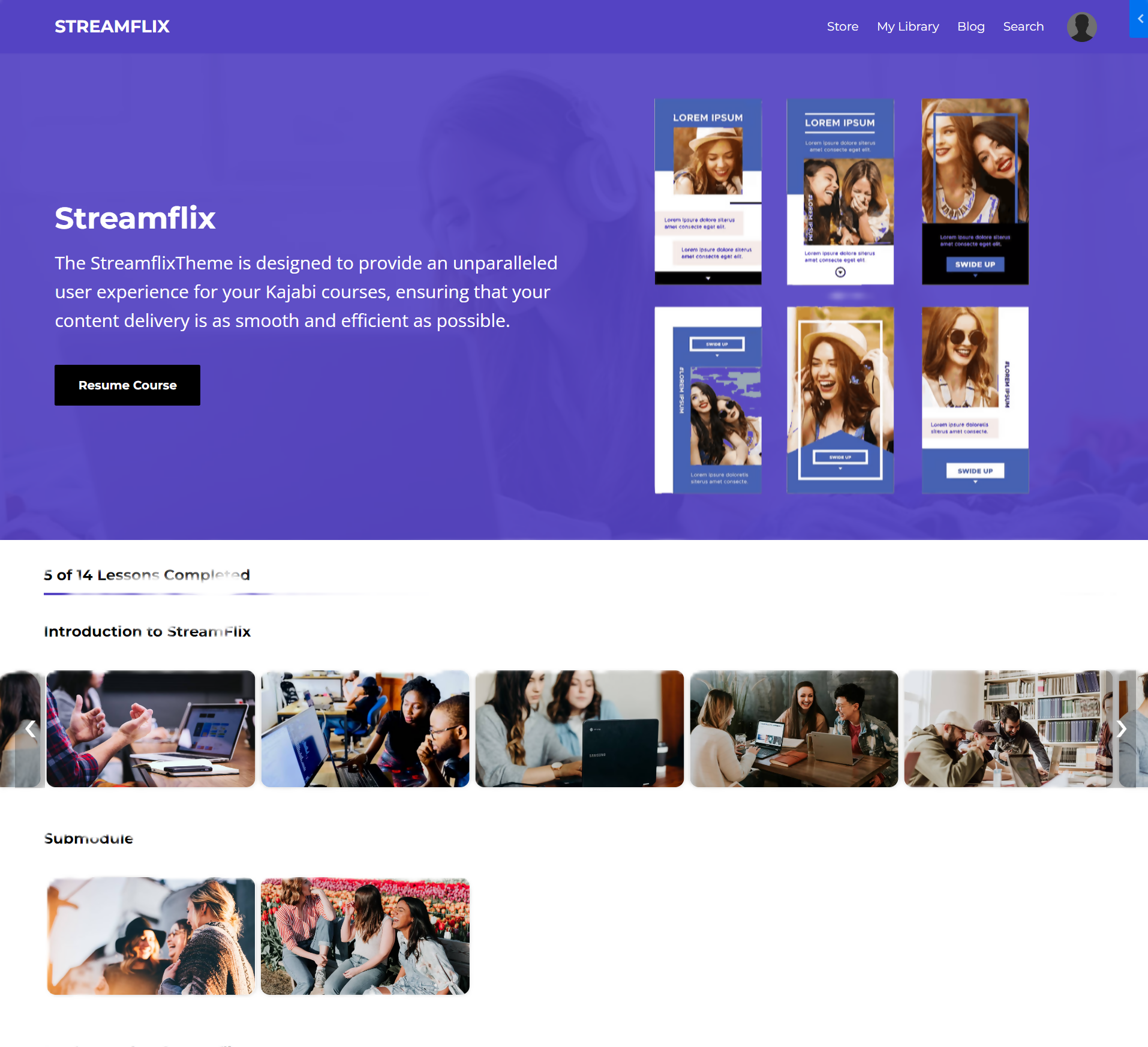 Streamflix product theme