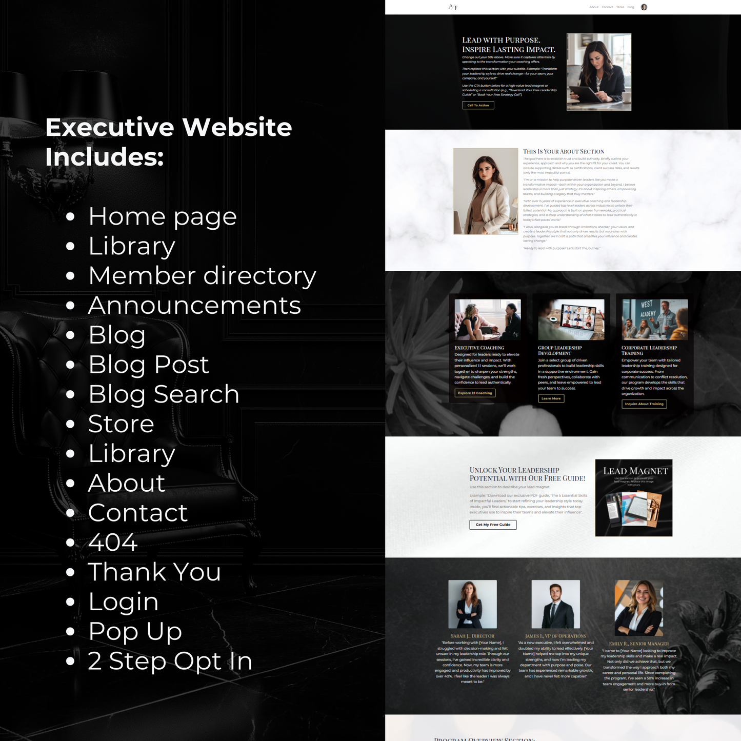 Executive Bundle - Website, Sales Page, Lead Magnet, Course & Thank You Page Templates