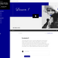 Moire Hue Cobalt Product Theme (Momentum + Premier)