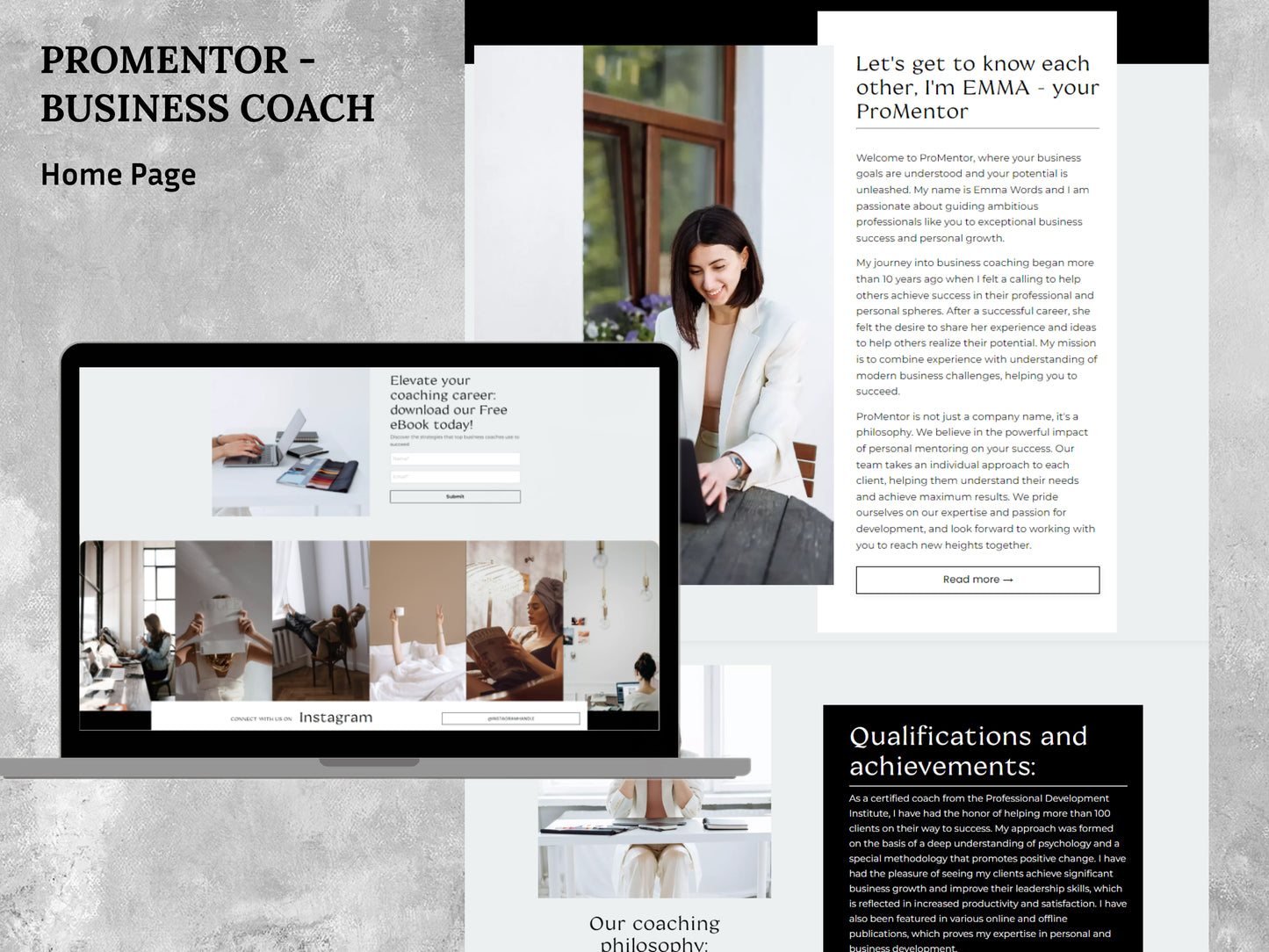 ProMentor Website (27 pages)