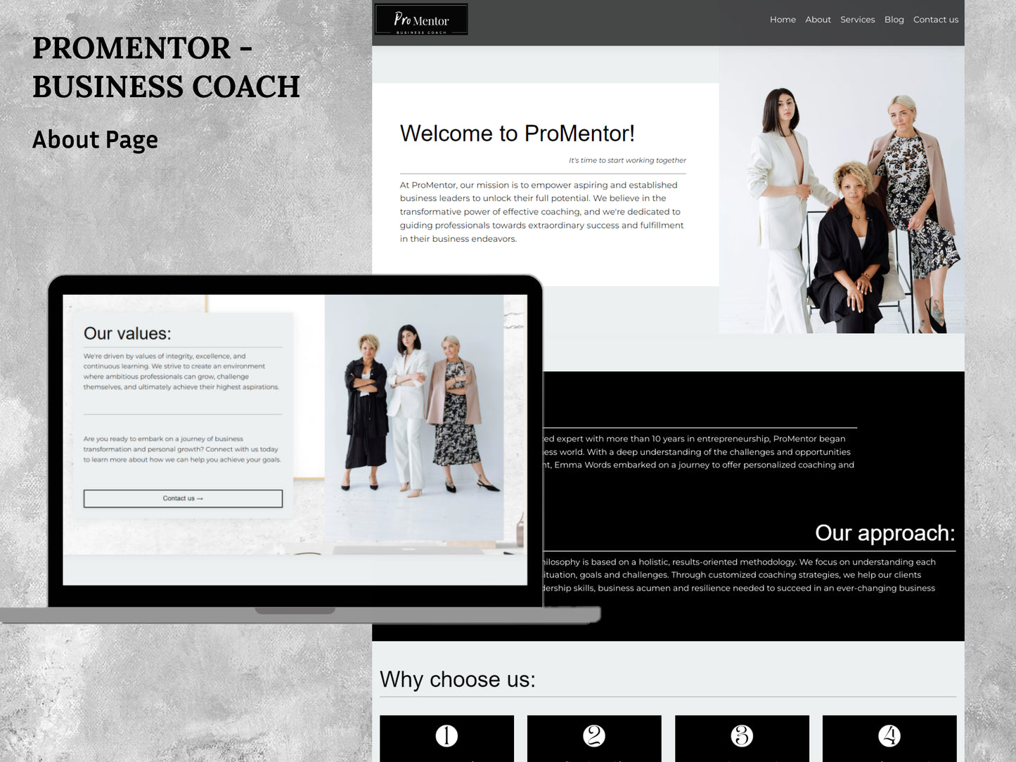 ProMentor Website (27 pages)