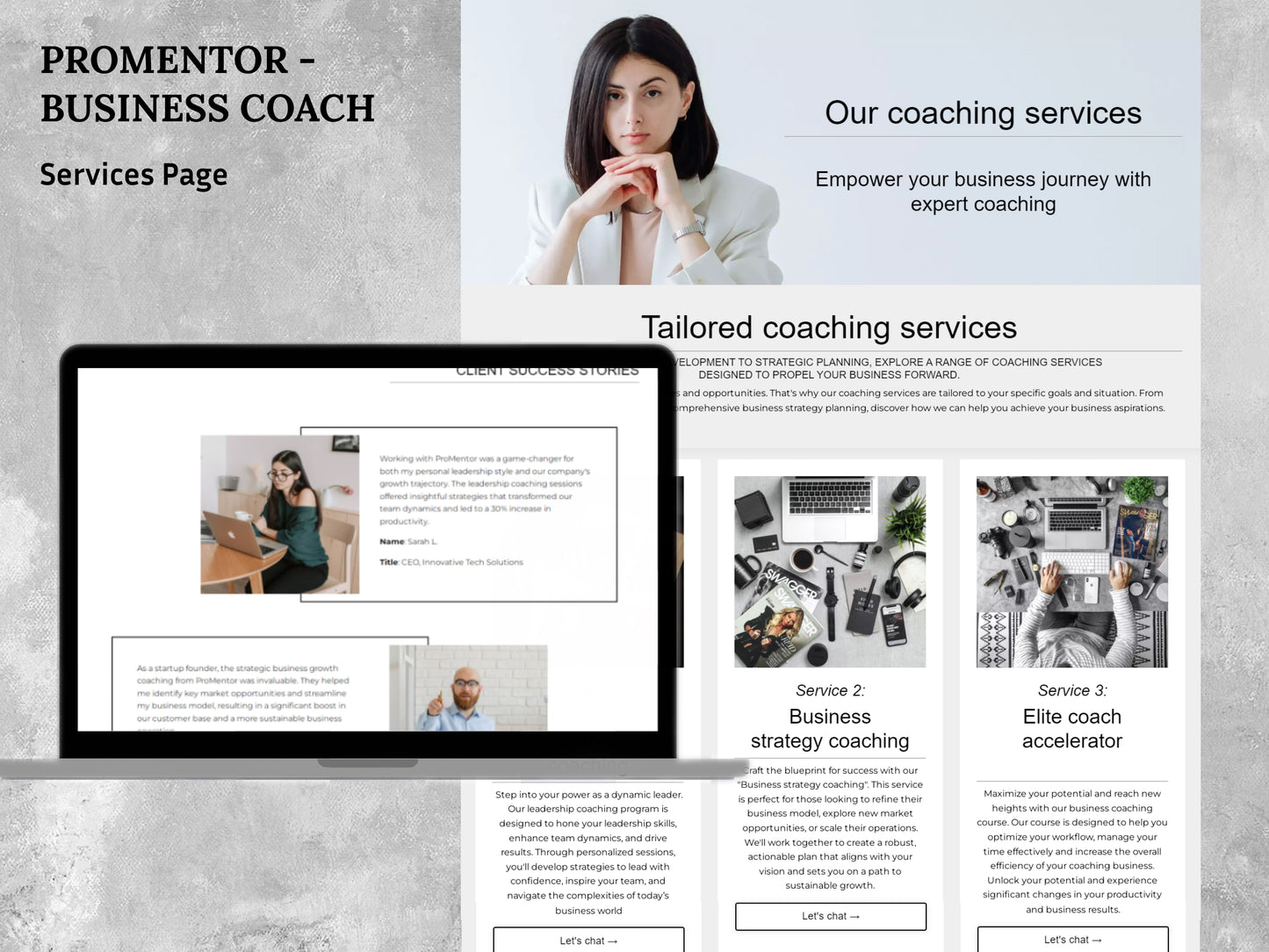 ProMentor Website (27 pages)