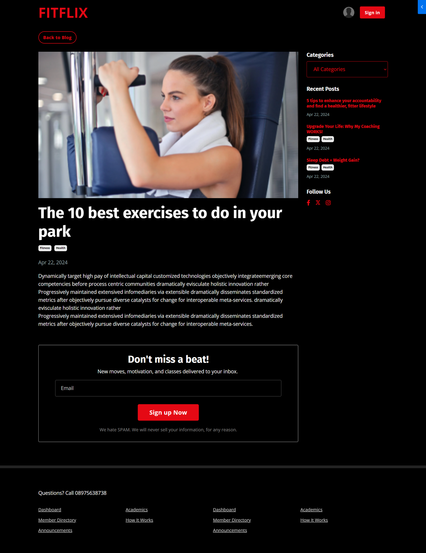 FitFlix Website Theme